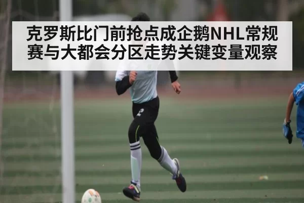 克罗斯比门前抢点成企鹅NHL常规赛与大都会分区走势关键变量观察
